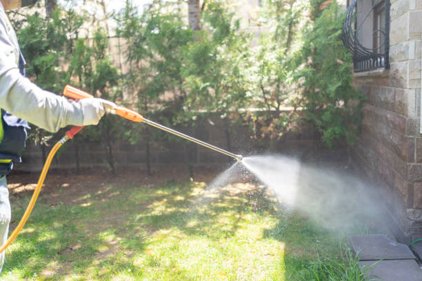 Best Organic or Eco-Friendly Pest Control  in Somerset, WI